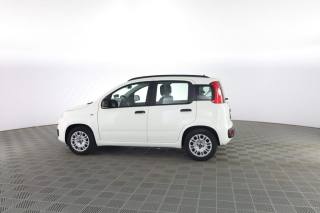 FIAT Panda usata 5