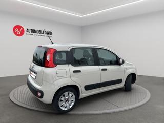 FIAT Panda usata, con Alzacristalli elettrici