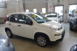 FIAT Panda usata, con Airbag