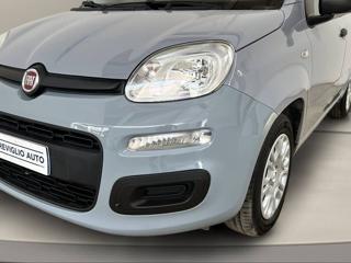 FIAT Panda usata, con Hill holder