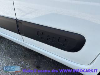 FIAT Panda usata 13
