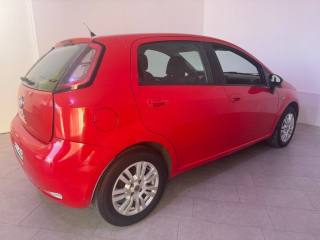 FIAT Punto usata 16