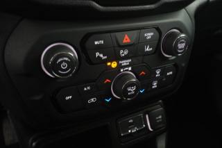 JEEP Renegade usata 11