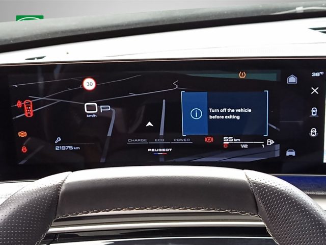 PEUGEOT 3008 usata 12