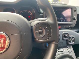 FIAT Panda Cross usata, con Sensore di pioggia