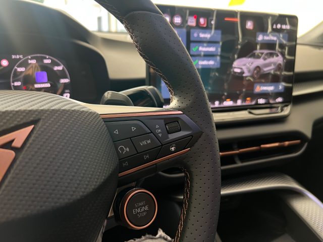 CUPRA Terramar usata, con Fendinebbia