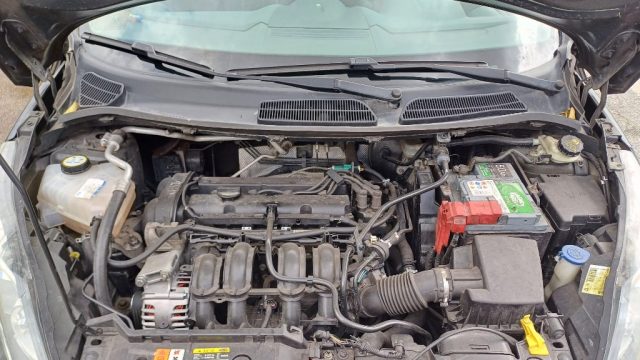FORD Fiesta usata 11