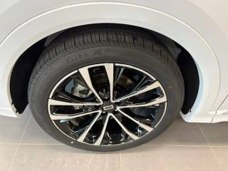 SPORTEQUIPE Sportequipe 7 GTW usata, con Immobilizzatore elettronico