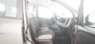 FIAT Panda usata 47