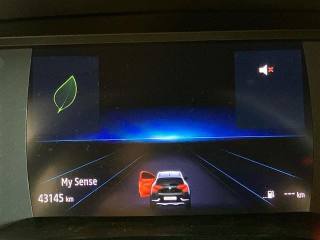 RENAULT Captur usata, con Bracciolo