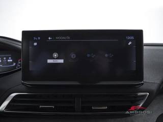 PEUGEOT 3008 usata 14