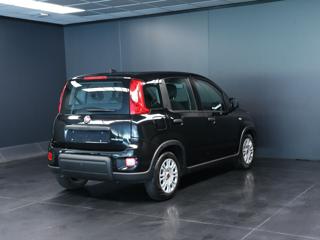 FIAT Panda usata, con Airbag Passeggero