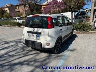 FIAT Panda usata, con Antifurto