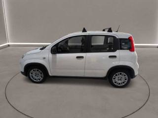 FIAT Panda usata, con Antifurto