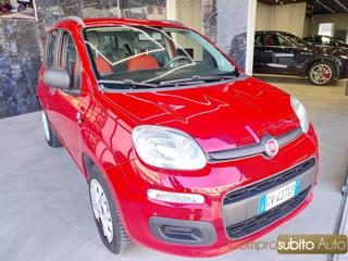 FIAT Panda usata, con Alzacristalli elettrici