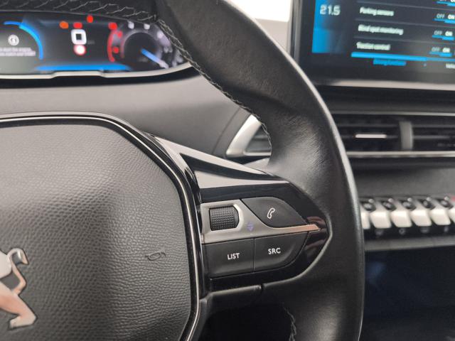 PEUGEOT 3008 usata, con Servosterzo