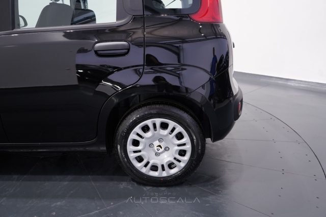 FIAT New Panda usata 23
