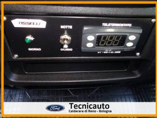 IVECO Daily usata 21