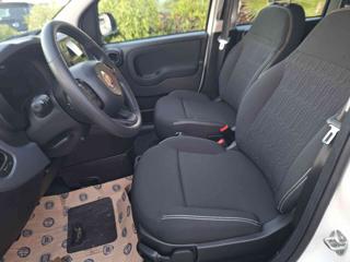 FIAT Panda usata, con Climatizzatore