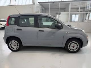 FIAT Panda usata, con Autoradio