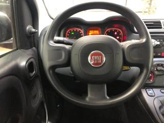 FIAT Panda usata 11