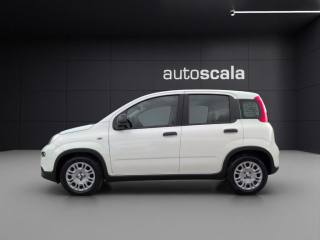 FIAT Panda usata, con Airbag