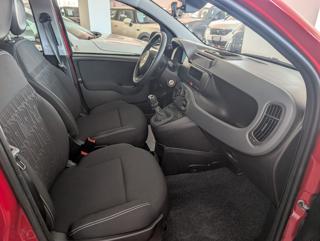 FIAT Panda usata, con Alzacristalli elettrici