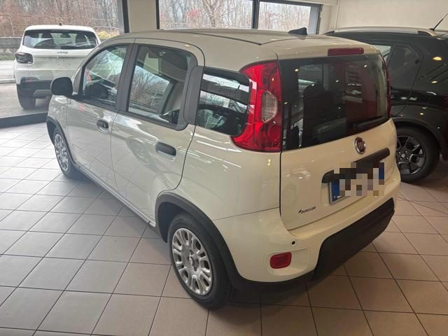 FIAT Panda usata, con Airbag Passeggero