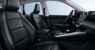 MG ZS usata, con Autoradio