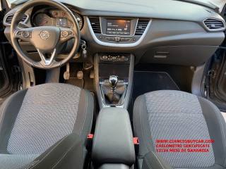 OPEL Grandland X usata, con Fendinebbia