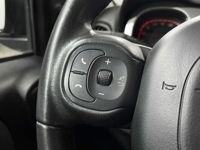 FIAT Panda Cross usata 22