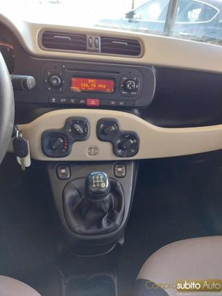 FIAT Panda usata 11