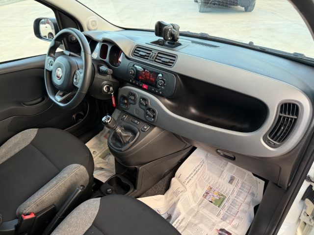 FIAT Panda usata 21