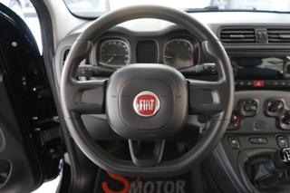 FIAT Panda usata 42