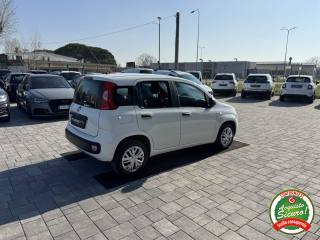 FIAT Panda usata, con Controllo trazione