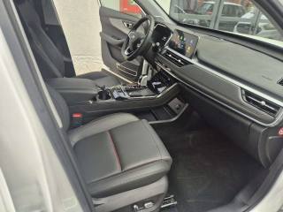 OTHERS-ANDERE OTHERS-ANDERE usata, con Volante multifunzione