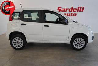 FIAT Panda usata, con Alzacristalli elettrici