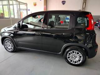 FIAT Panda usata 11