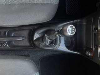 FIAT Punto usata 12