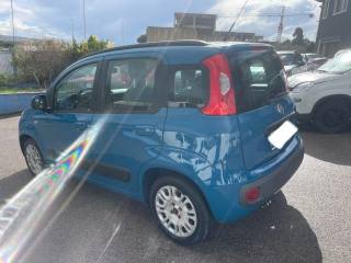 FIAT Panda usata 6