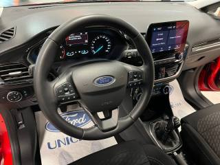 FORD Fiesta usata, con Vetri oscurati