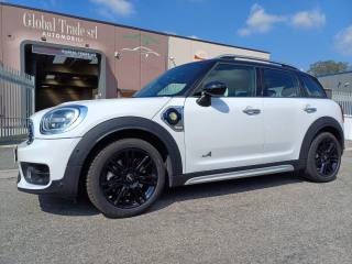 MINI Countryman usata, con Chiusura centralizzata