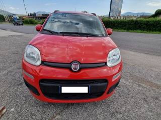 FIAT Panda 1.2 Lounge  PERFETTA
