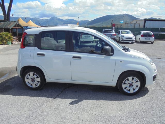FIAT Panda usata 13