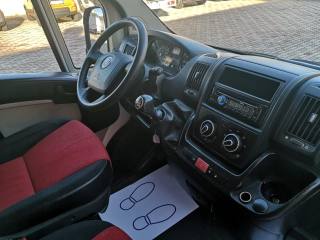 FIAT Ducato usata 16