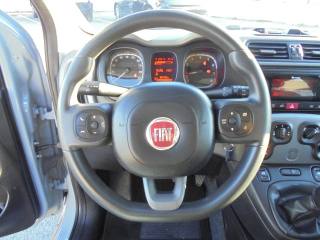 FIAT Panda usata 32