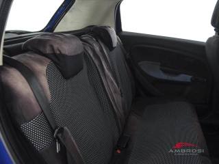 FIAT Punto usata 10