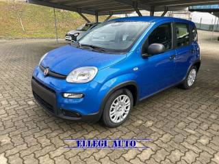 FIAT Panda usata, con Boardcomputer