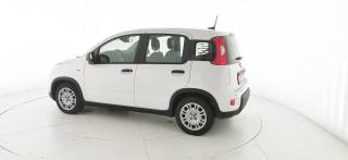 FIAT Panda usata 30