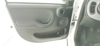FIAT Panda usata 57